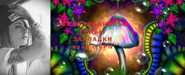 каннабис Дмитровск